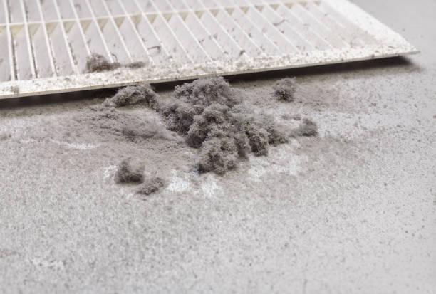 Best Affordable Duct Cleaning Services  in Dayton, VA