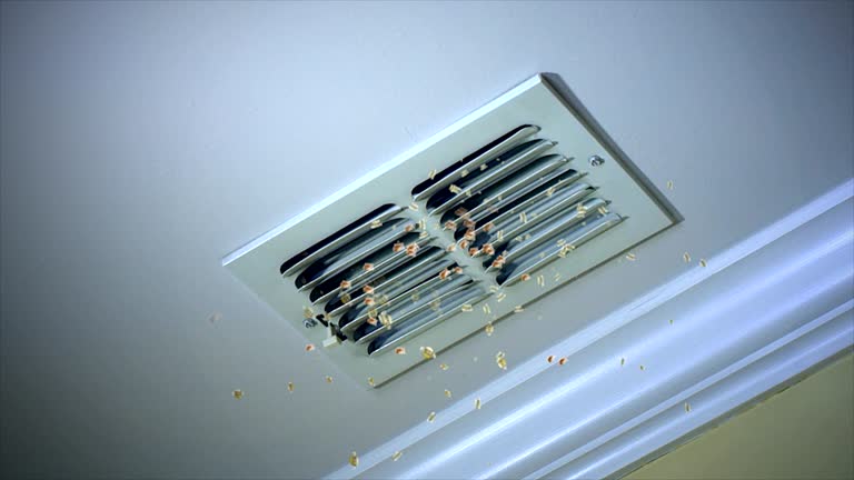 Best Commercial Air Duct Cleaning  in Dayton, VA