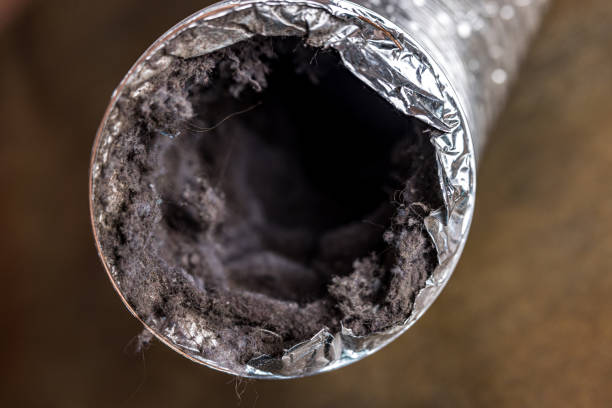 Best Ductwork Cleaning Services  in Dayton, VA