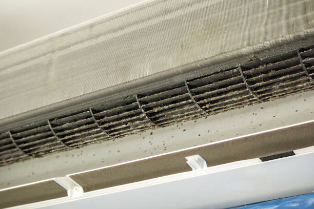 Best Air Duct Cleaning Company Near Me  in Dayton, VA