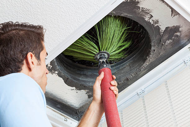Best Professional Duct Cleaning Services  in Dayton, VA